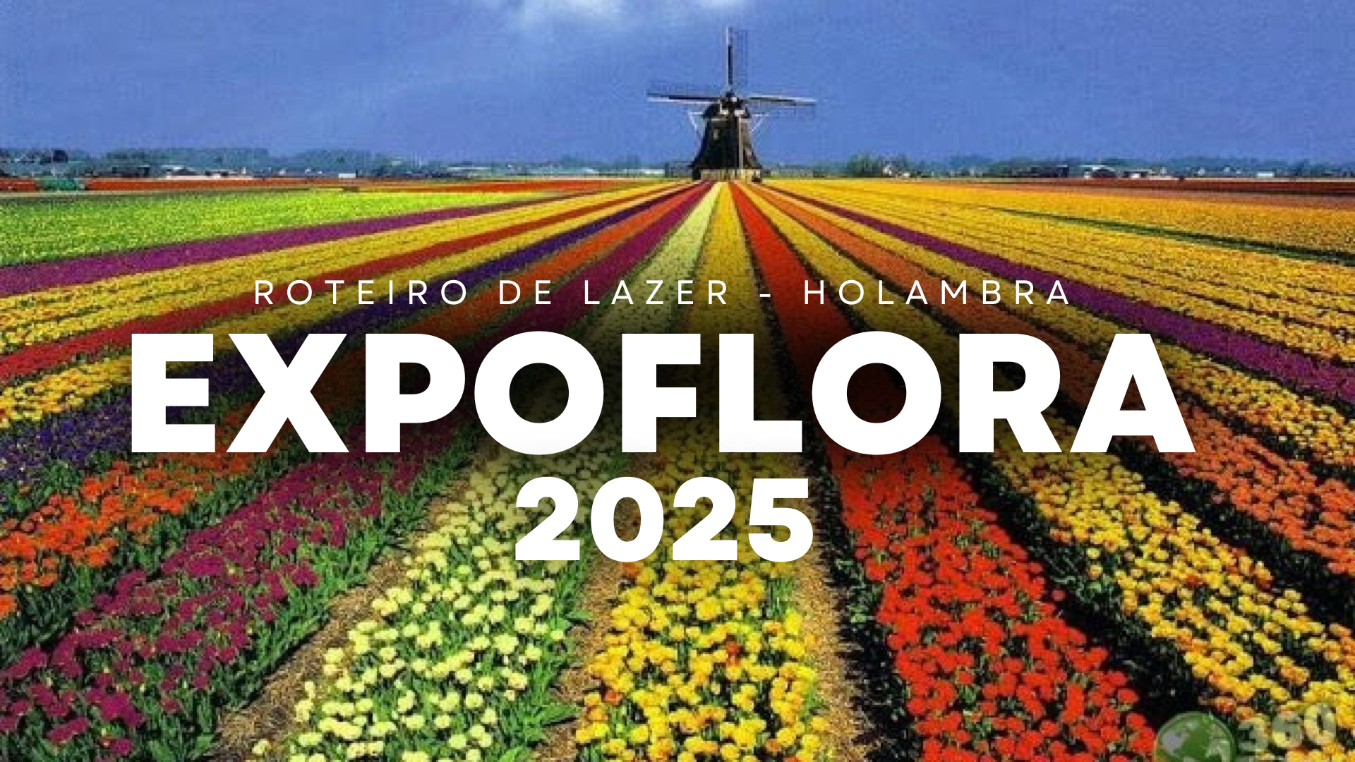 Expoflora 2025 - Holambra